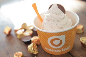 Orange Leaf Reese's Flavor